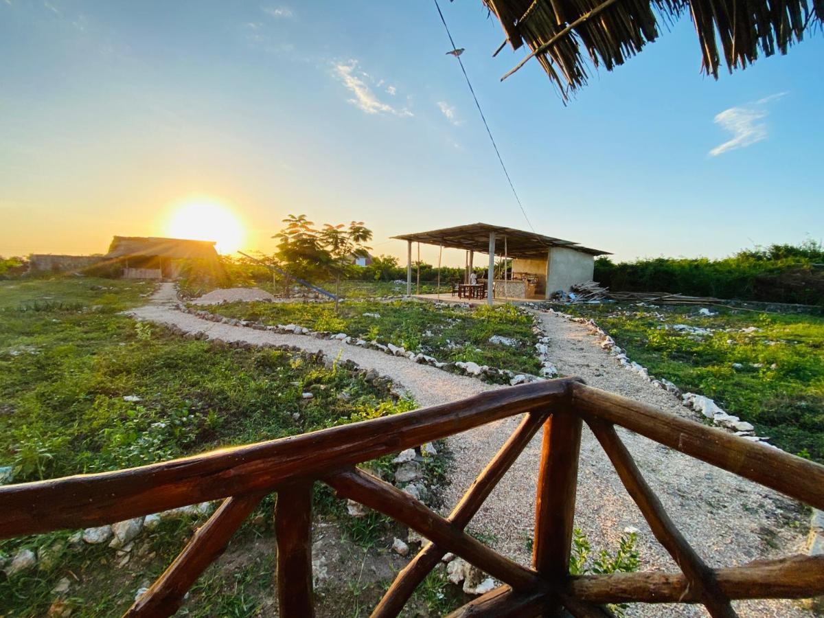 Bed and Breakfast Habibis Bottle House Nungwi Esterno foto